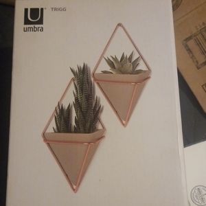 Umbra trigg wall vessel set of 2